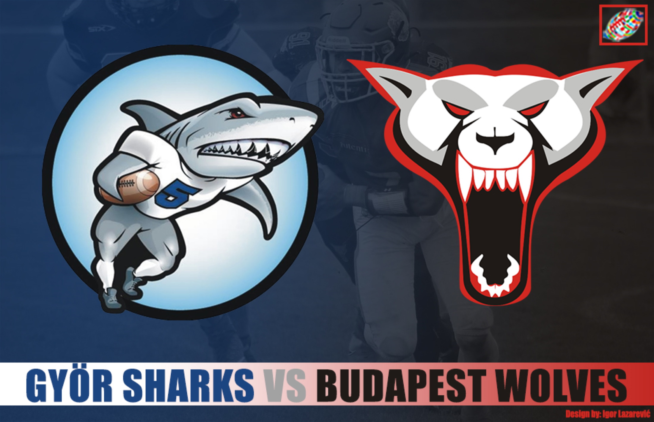 LIVESTREAM Hungary Győr Sharks Budapest Wolves, June 19, 1500 CET