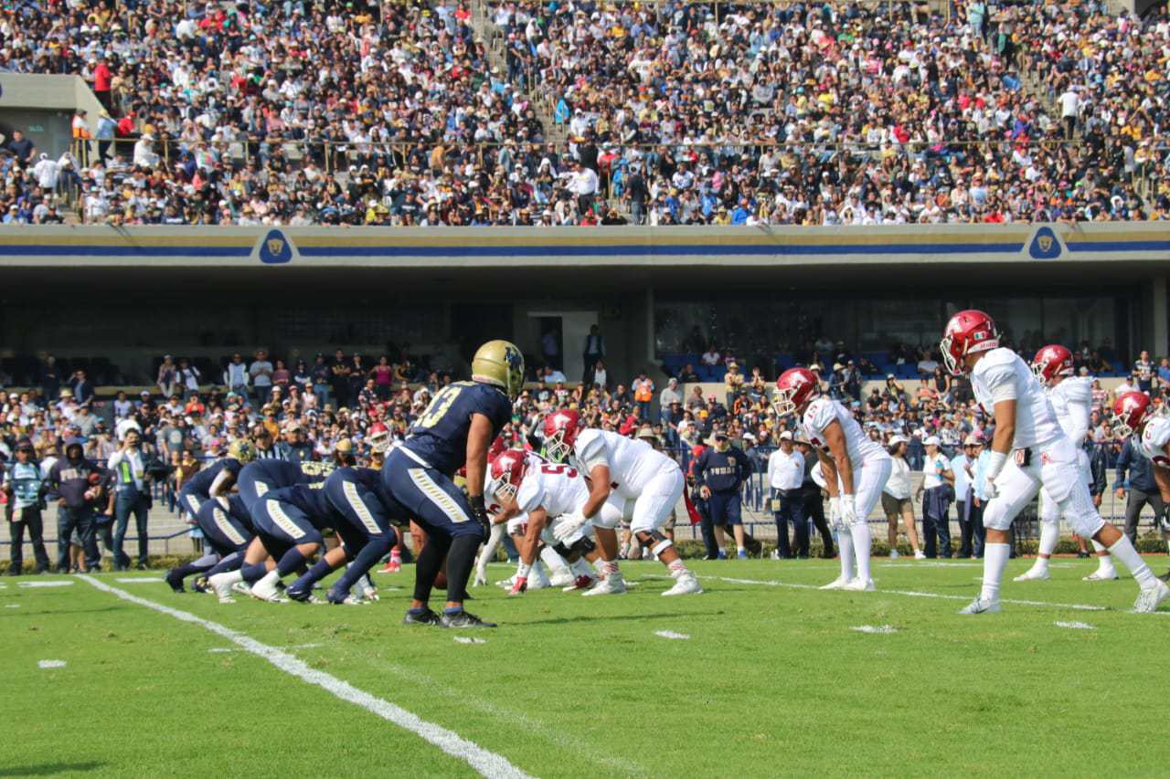 Vienna Vikings sign Italian standout wide receiver Jordan Bouah