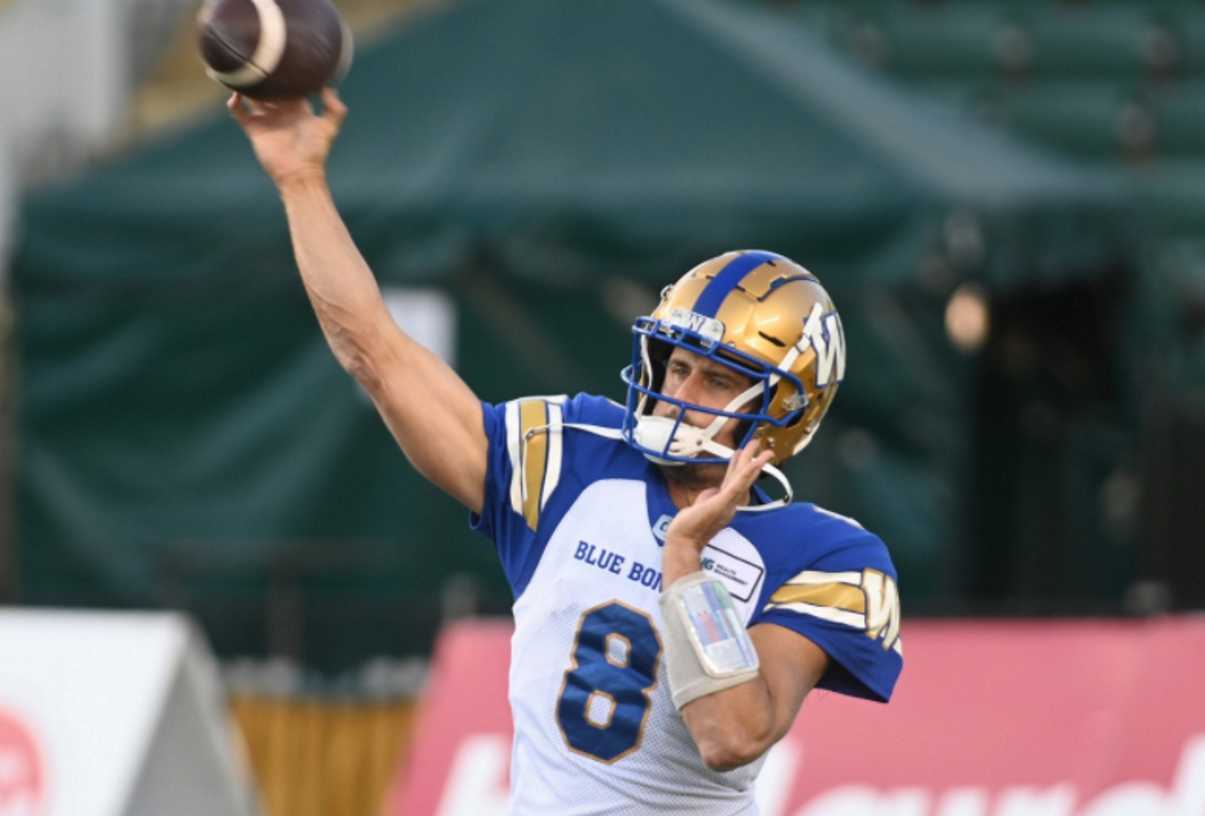 Winnipeg Blue Bombers defeat Elks to clinch playoff spot