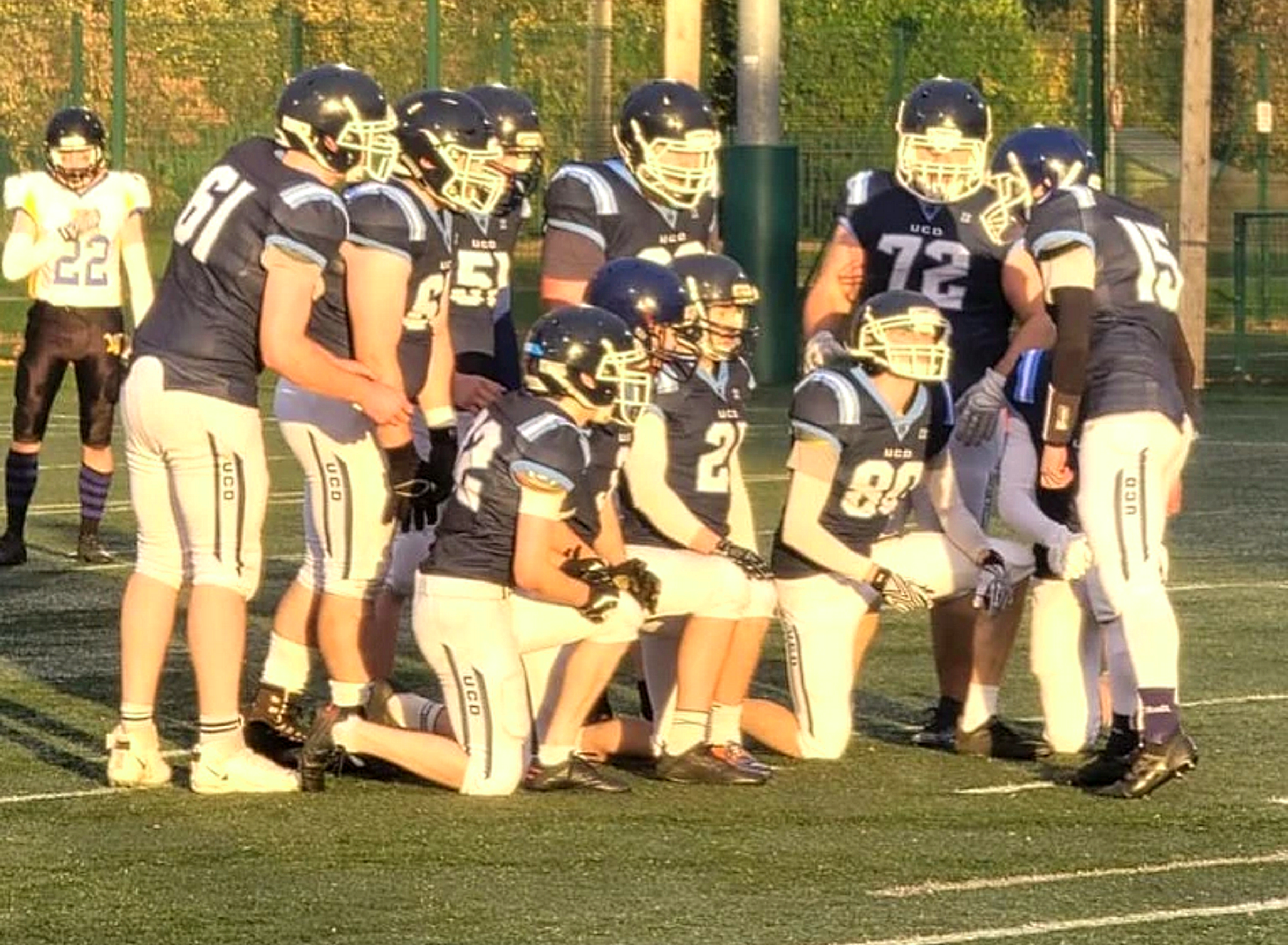 UCD American Football