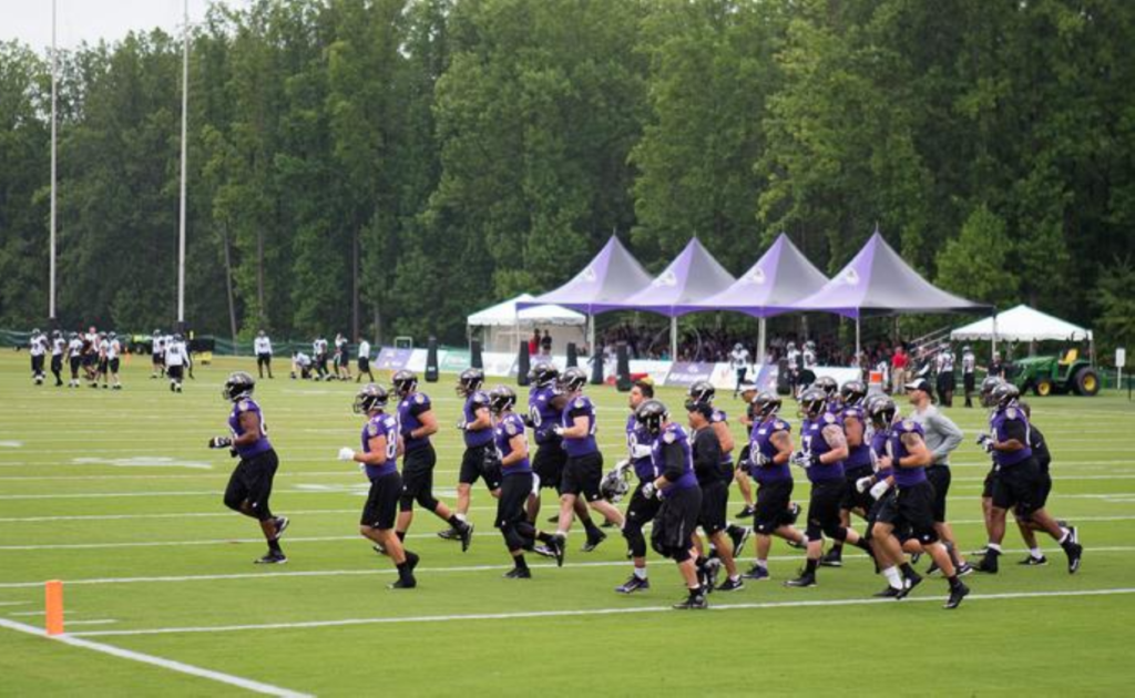 Baltimore Ravens planning to allow fans for some of training camp