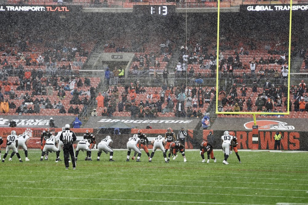 The NFL's AFC Championship Game Played On DLF Turf Grass