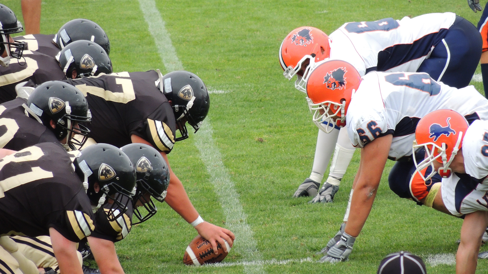 Rugby vs American Football: The Differences