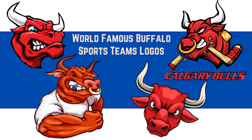 Professional Team In Buffalo, New York Changing Their Mascot